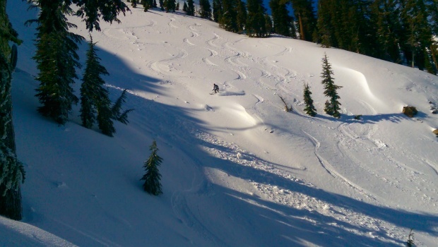 Nice turns down South Beaver