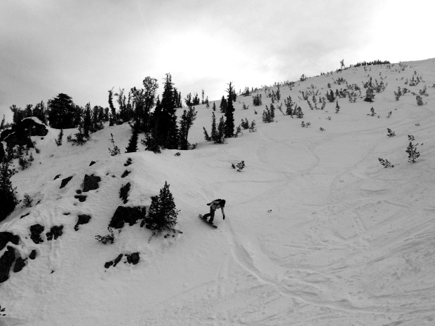 Sasha Zebb making the best of marginal conditions