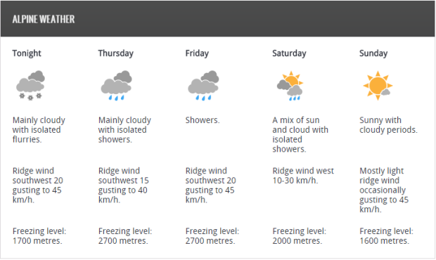 forecast