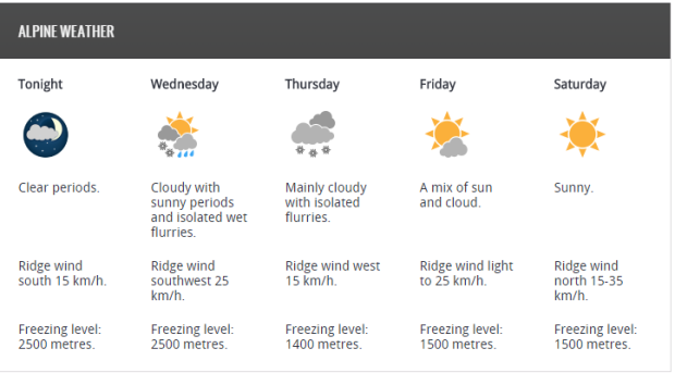 forecast