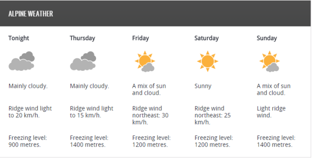 forecast