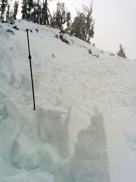 Looking up gully at the slide and the debris pile. The 260 cm probe is inserted to the bottom of the avalanche debris. The debris measured 170 cm at this point.