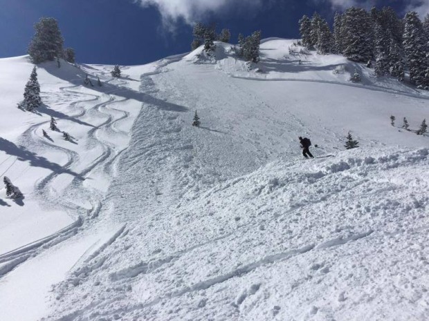 Avalanche in Utah yesterday. photo: utah avalanche center