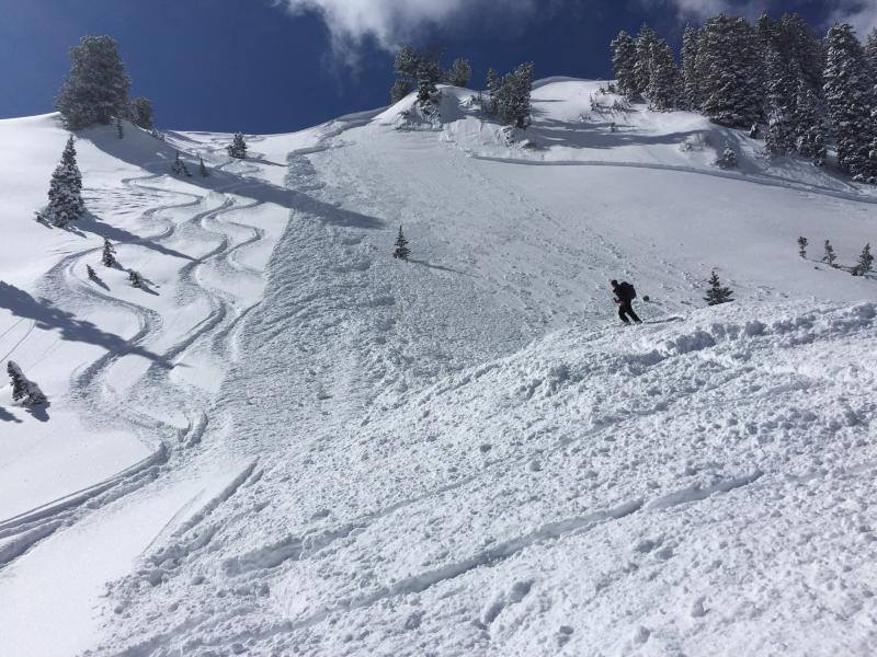Avalanche in Utah yesterday. photo: utah avalanche center