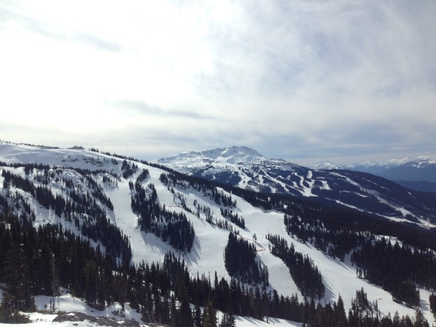 blackcomb
