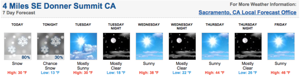 This week's forecast