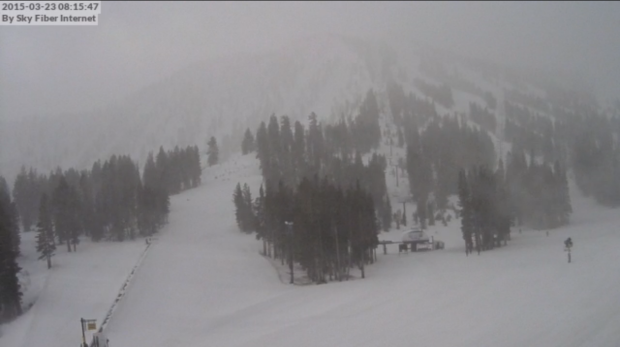 Still snowing at 8am today at Mt. Rose.