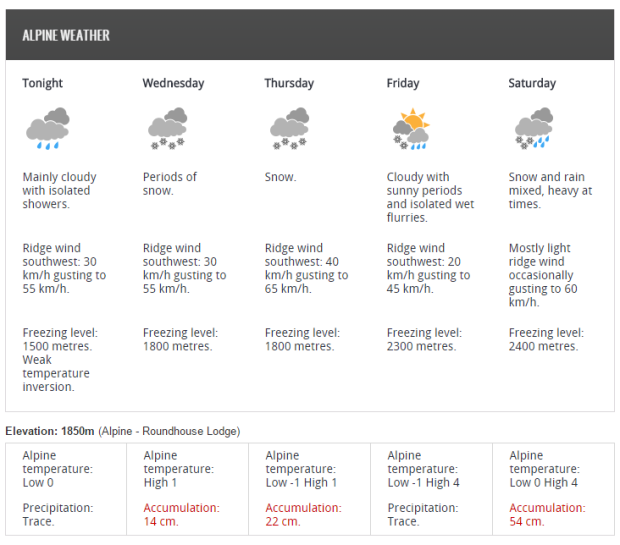 forecast
