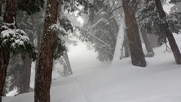 Nuking snow on Mt. Rose Saturday