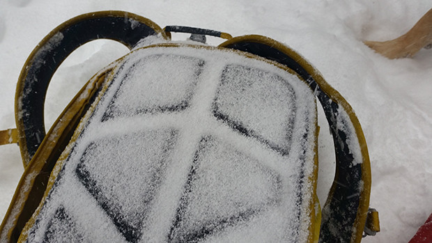 Snow coated pack over the course of transitioning
