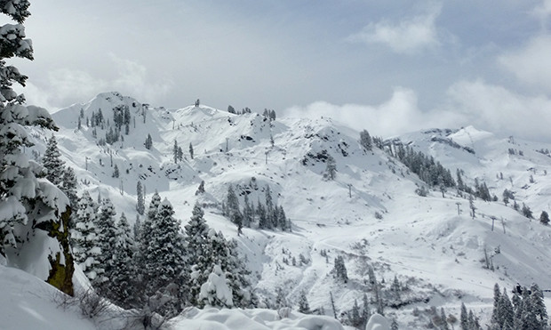 Looking up toward the top of KT