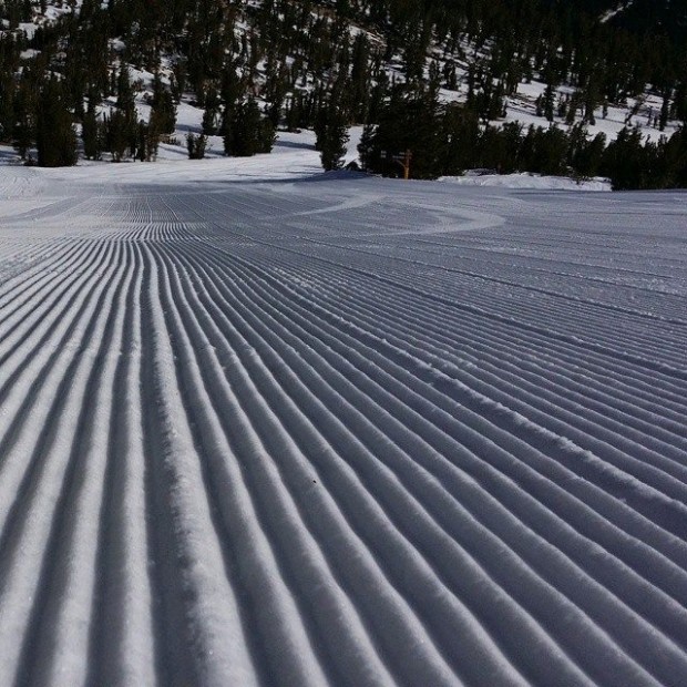 Heavenly today.