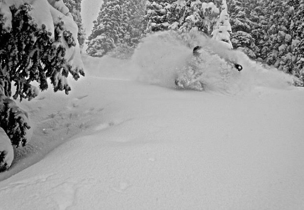 Alta, UT yesterday.  photo:  alta
