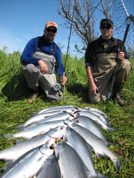 Fresh Sockeye for dinner