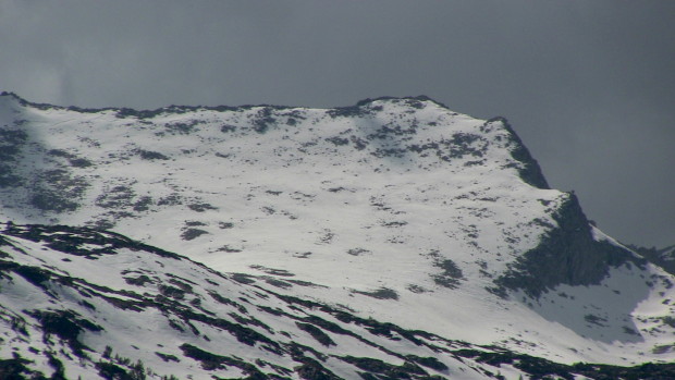 Rocky looking False White Mountain yesterday.
