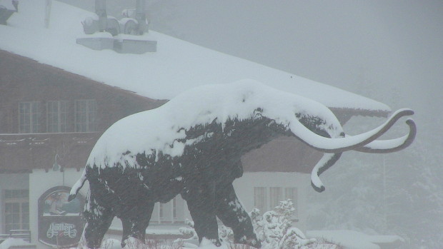Mammoth today.