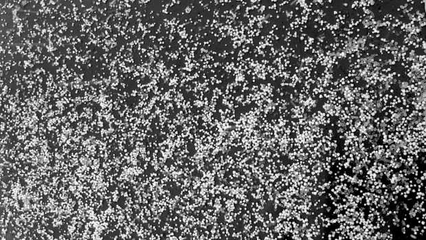 Graupel falling on the chairlift seat.