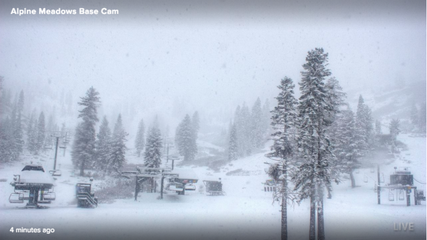 Alpine Meadows today at 8am
