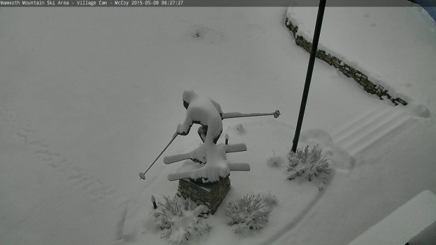 The Village this morning