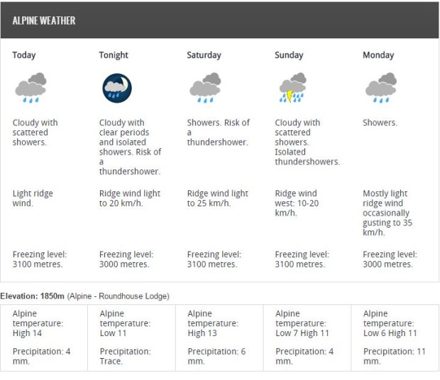 forecast