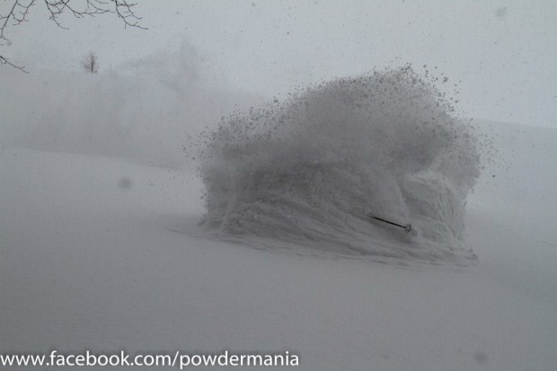 Japan, 2015.  photo:  powdermania.com