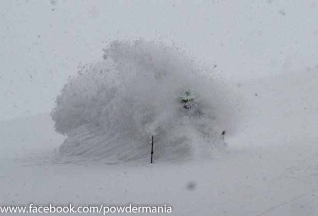 Japan, 2015.  photo:  powdermania