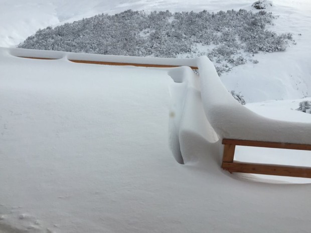 Baguales.  June 10th, 2015.