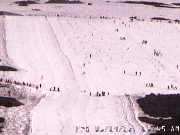 Timberline Lodge's Palmer snowfield today.