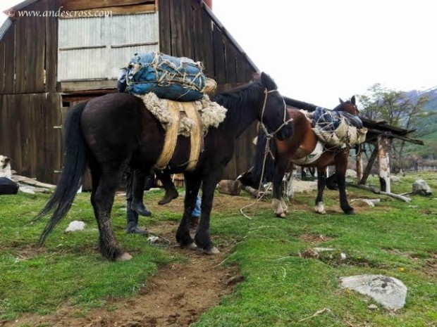 San Lorenezo, Argentina.  2014.