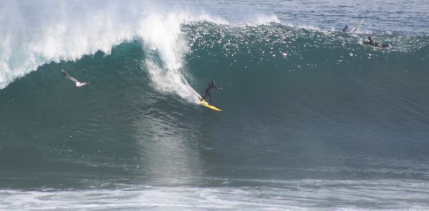 Bombs away at Lobos on July 10th, 2015.  photo:  tu sesion