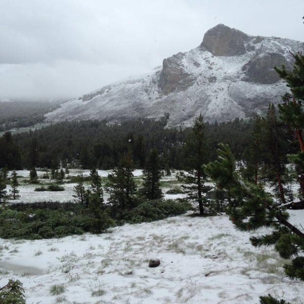Tioga Pass, CA snow today.  photo:  caltrans