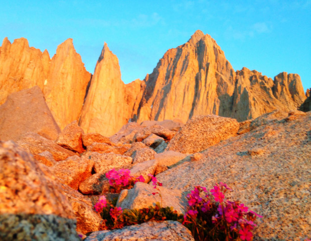 Mount Whitney 6/27. photo: Trish McGuire