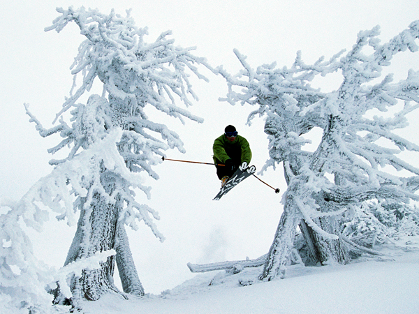 Skier Jumping Between Trees