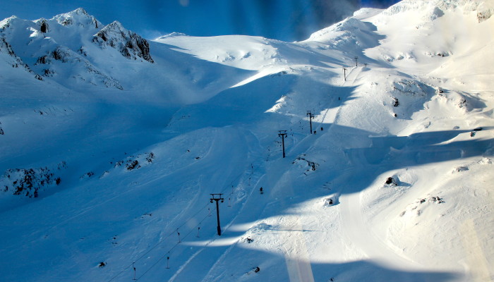 Whakapapa.