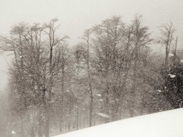 Nuking snow today.