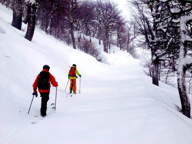 TJ and Jared headed up today in the Lenga tree forest.