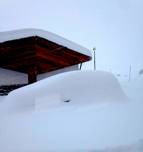 portillo powder chile