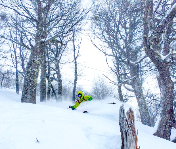 Jared Åkerström ripping the trees today at Catedral today.  photo:  TJ David