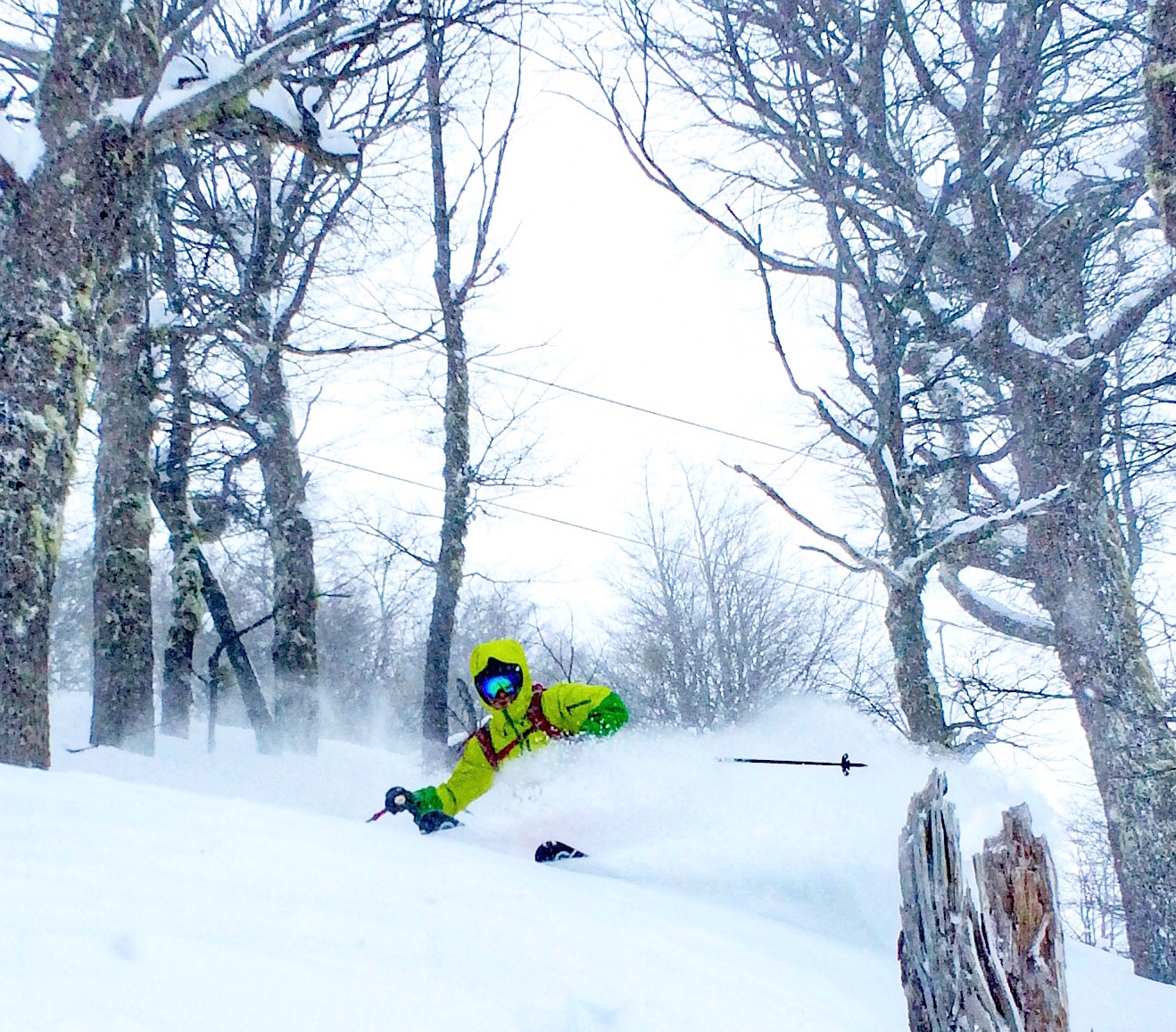 Jared Åkerström ripping the trees today at Catedral today. photo: TJ David