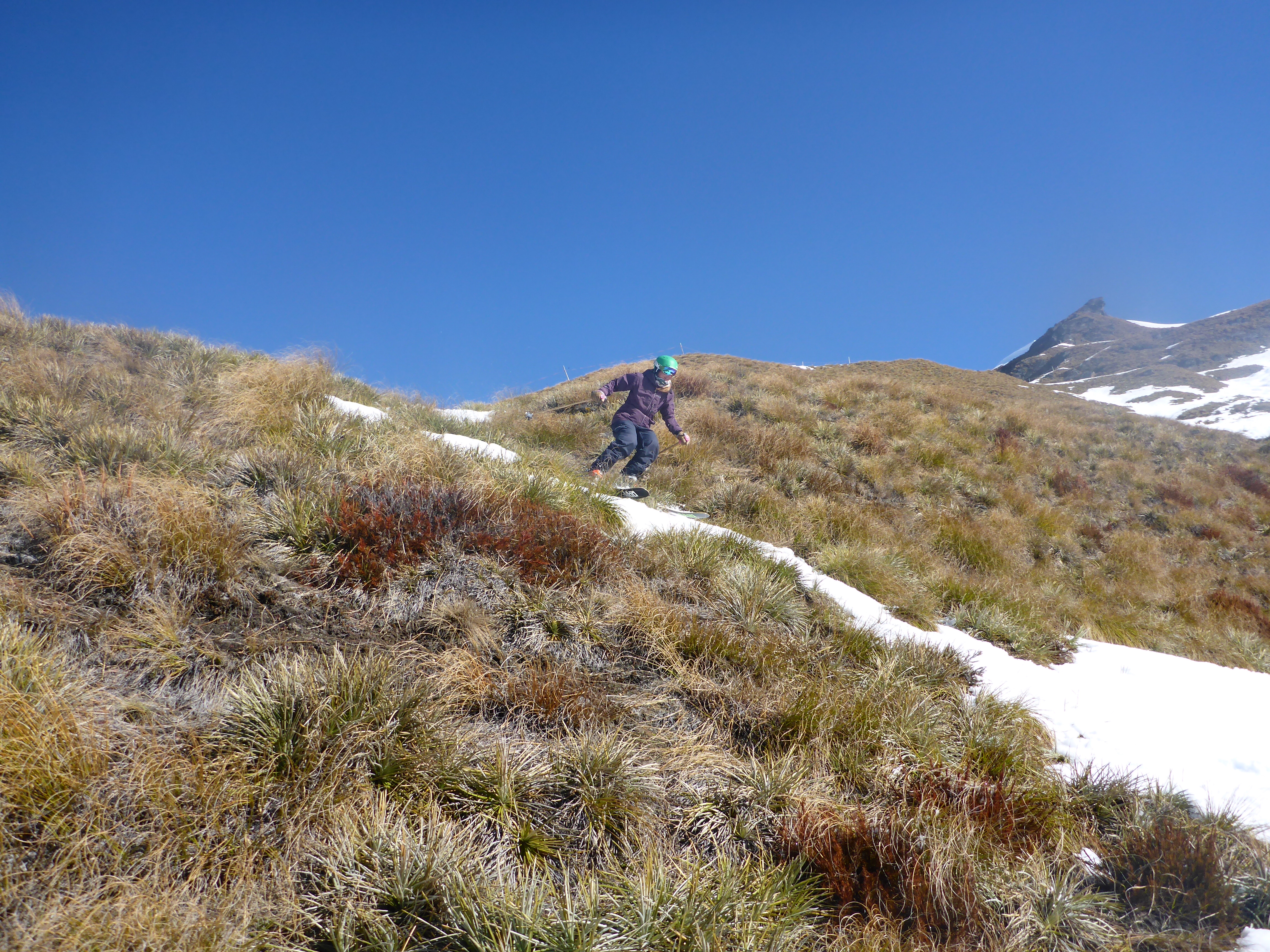 Athlete Marian Krogh straightlining through some Tussock
