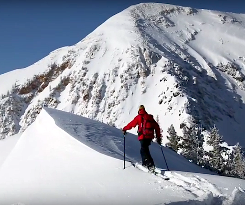 snowbird utah ski patrol powder day