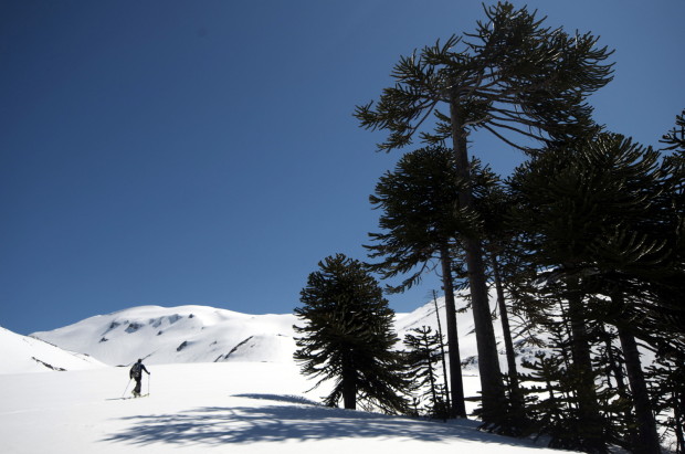 Above treeline at last!