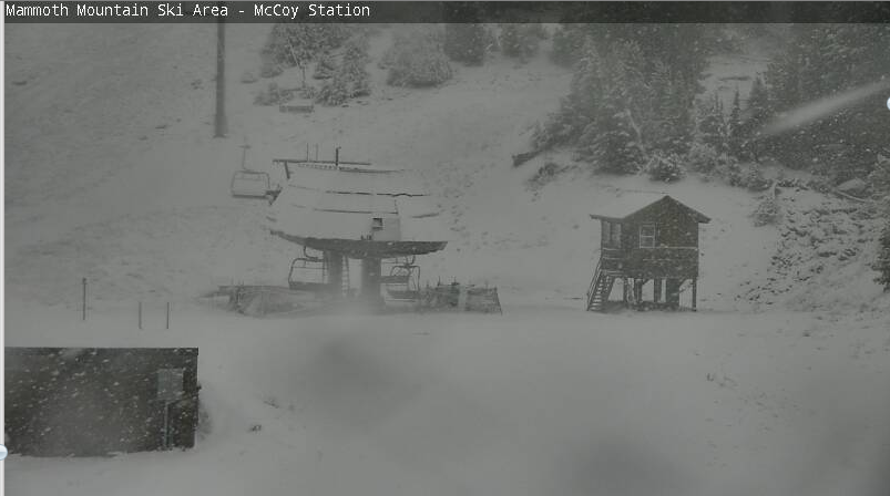 Mammoth from mid-station gondola today at 8:30am. photo: mammoth webcam