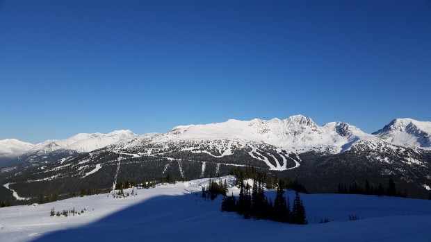 blackcomb