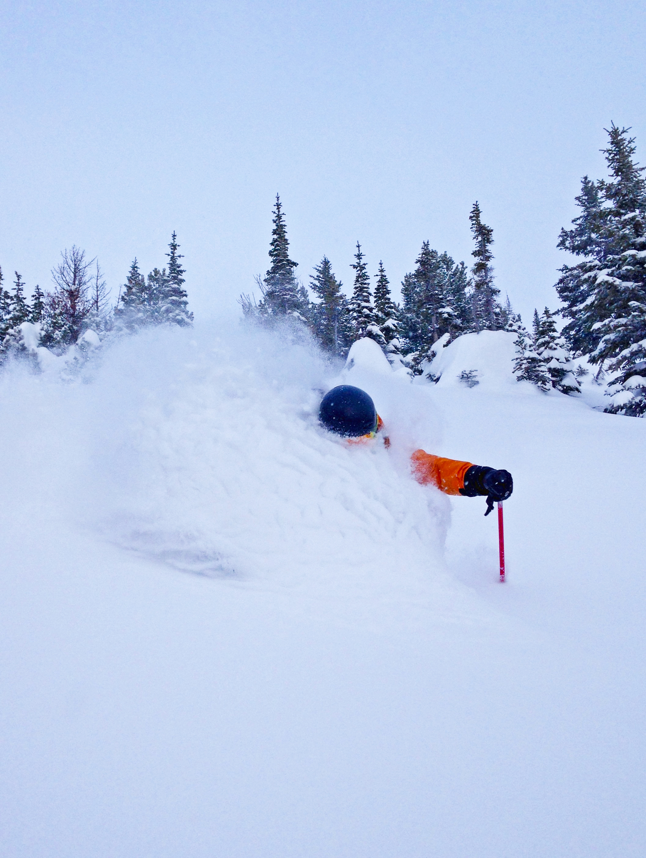 Kicking Horse, B.C. today. photo: Brad Lorriman
