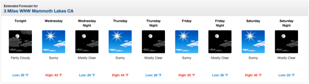 Forecast looking good