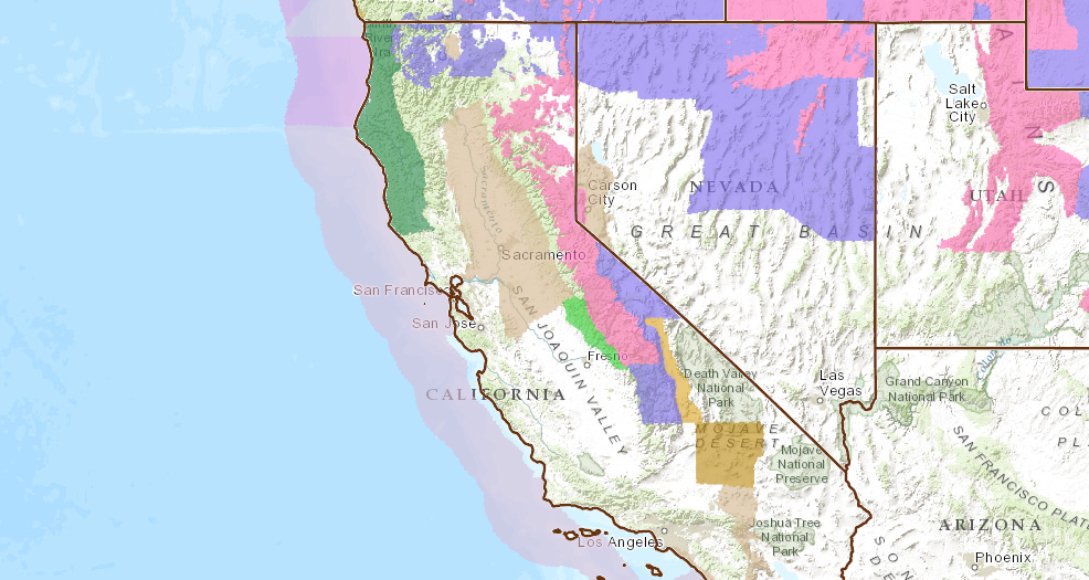 PINK = Winter Storm Warning.