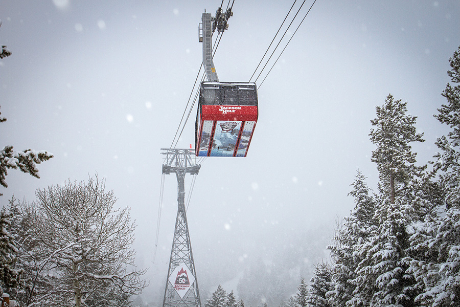 Jackson Hole tram this week. photo: jax