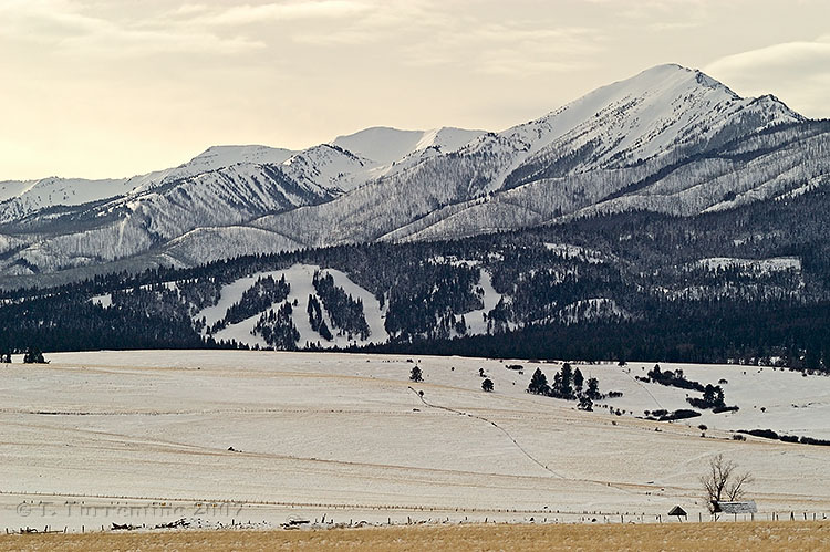 Ferguson Ridge Ski Area. Photo: Ferguson Ridge
