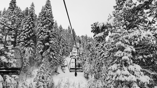 Nice to see some snow in the trees.  Looking up Squaw Creek chairline